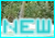 New posts