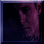 New posts