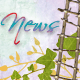 New posts