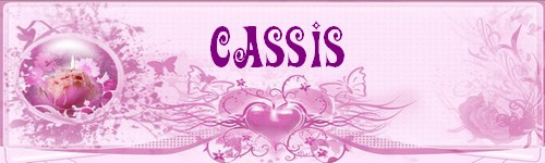 Cassis Forum Index