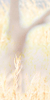 Ce forum est verrouillé; vous ne pouvez pas poster, ni répondre, ni éditer les sujets. Ce forum est verrouillé; vous ne pouvez pas poster, ni répondre, ni éditer les sujets.