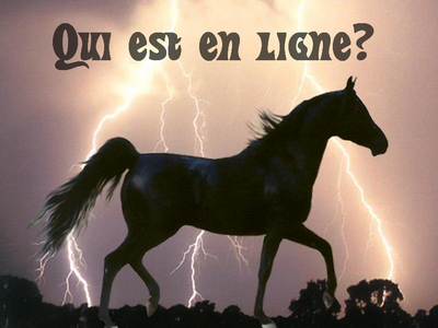Qui est en ligne ?
