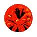 No new posts