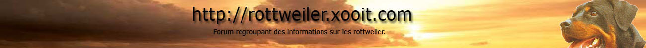 Rottweiler Forum Index