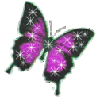 New posts