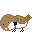 oiseau1