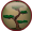 No new posts [ Popular ]