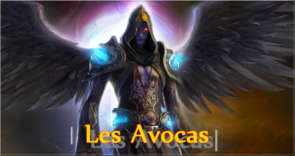 LES AVOCAS Forum Index