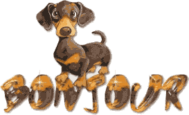 chienbonjour