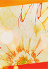 No new posts