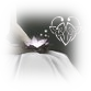 New posts [ Popular ]