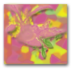 Post-it