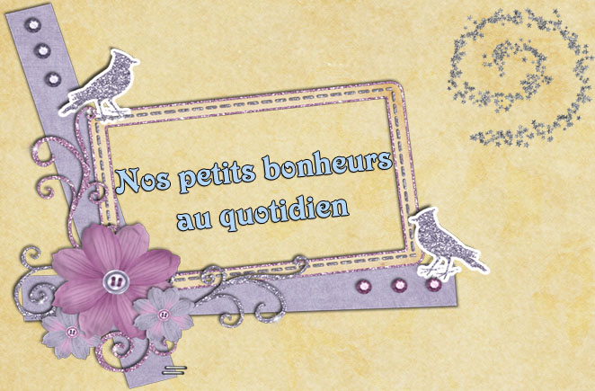 Nos petits bonheurs au quotidien Forum Index