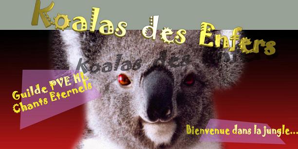 Koalas des Enfers Forum Index