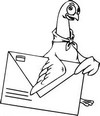 New posts