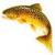 http://img7.xooimage.com/files/e/5/d/logo.gif-4dc4ee.jpg
