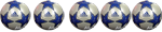 Membre