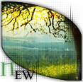 New posts