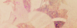 No new posts