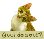 Quoi de neuf ?