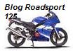 Blog Roadsport 125