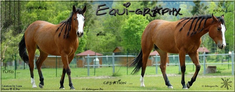 Equi-graphx Forum Index