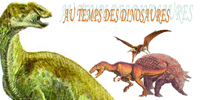 Paleontologia Forum Index