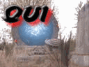 Who is Online